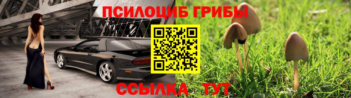 Галлюциногенные грибы ЛСД  закладки  Шебекино  Вход с VPN 